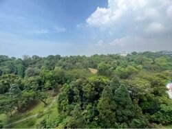 Normanton Park (D5), Apartment #450254741